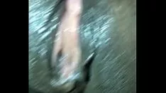 Putar Kucing kucing itu menumpahkan kacangnya kembali