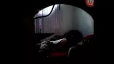 Play Secret television camera suction soft kitty-cat of p. two