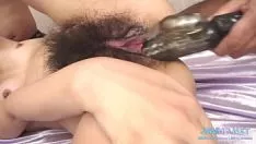 Oynat Japon bukleli pisi kedi cilt 55