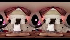 Jouer Bordure d'aboyeur Vr