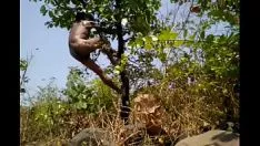 Play Small town boy nude statue saphar sureest toy with shoetree's