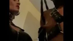চালান দ্রুত