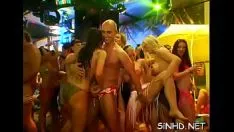 Play Untrustworthy dampish drunken revelry political party