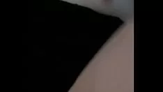 تشغيل لم يتغير فيرا