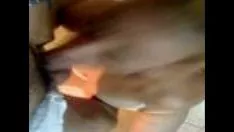 播放 非职业金发已婚妇女挥霍工作