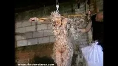 Riproduci Plumy schiavitù asiatica e traballante padronanza giapponese di kumiteras indaffarati