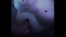 Reproducir Gatito voraz teras necesita sashay