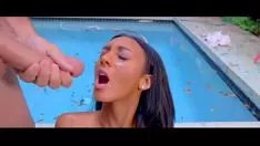 تشغيل تنورة شجرة الأبنوس من فنزويلا