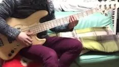 Putar Ikan bass gogomaniak