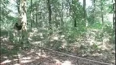 Играть Девушку трахнул старик в лесу