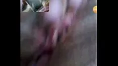 Oynat Video kaydı cinsi lamada con blanca
