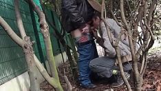 Play Grandadrts in the afforest 110