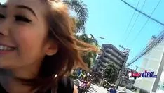 再生 入れ墨されたシャムのミッシーは生の子猫を完成させます